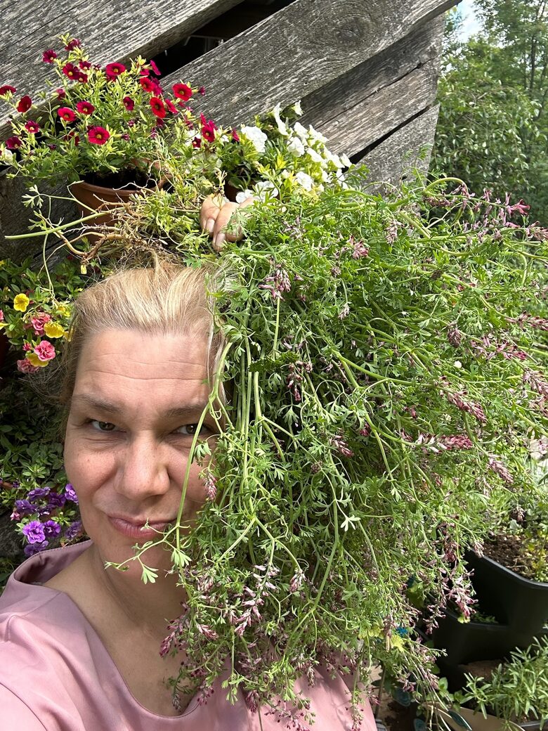 Aromtest-Meistarklase